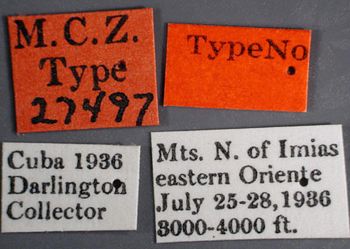 Media type: image;   Entomology 27497 Aspect: labels